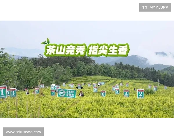 梦境之林:绿意萌动,指尖种树 梦境之林:绿意萌动,指尖种树